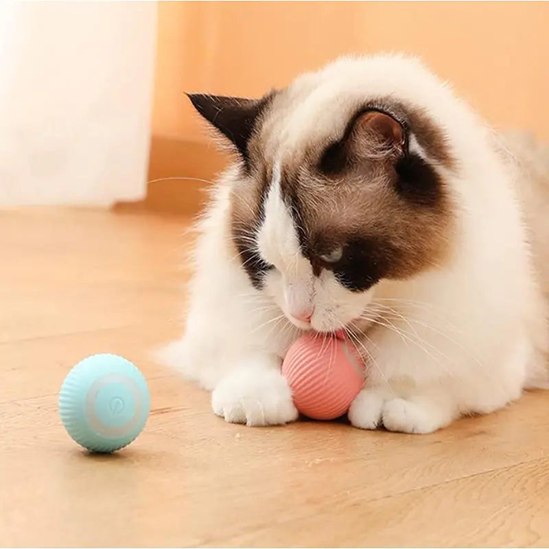 Smart Rolling Ball Toy: Fun for Pets 🐾🔵